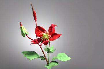 anxiety soothing red columbine