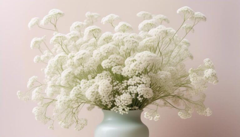 delicate beauty of baby s breath