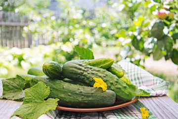 Cucumbers With Onions