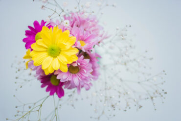 Summer Flowers -