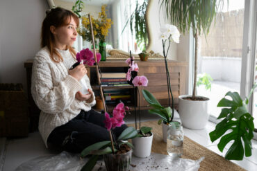 Indoor Flowers